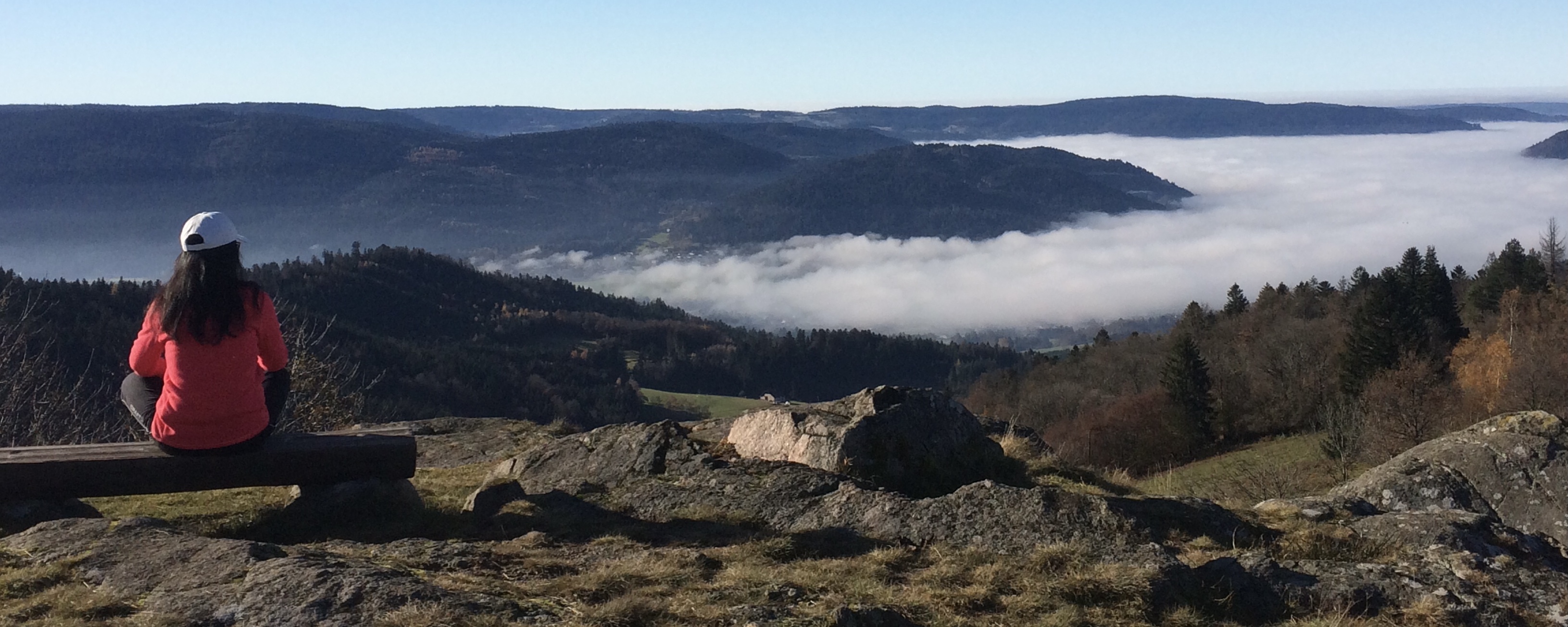 Vue sur les Vosges - vallée de Remiremont